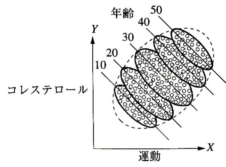 運動とコレステロール年齢