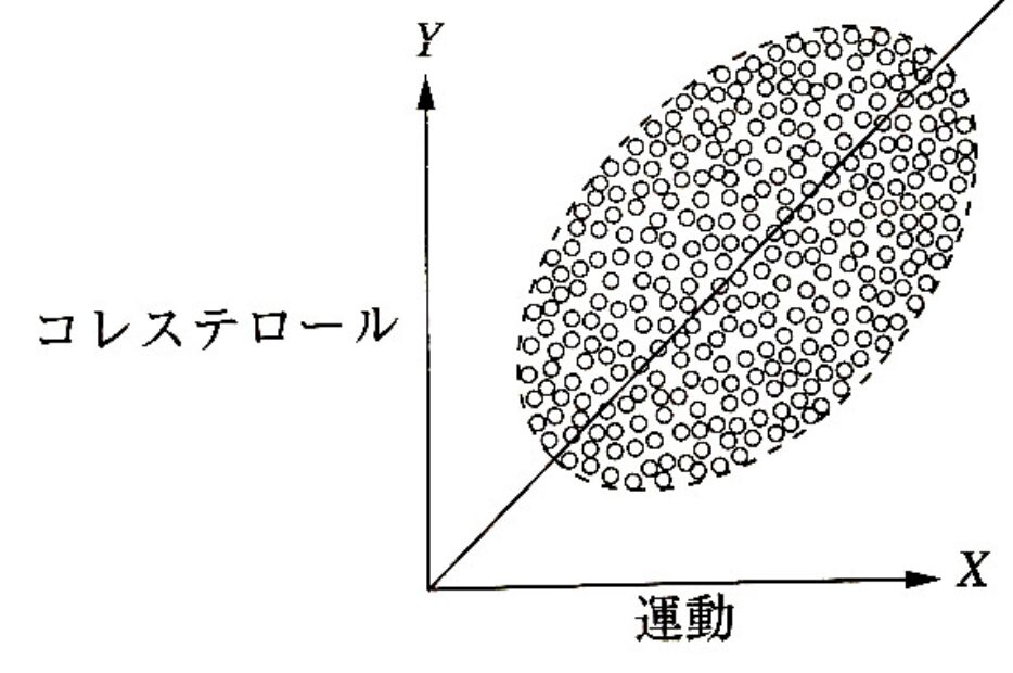 運動とコレステロール全体